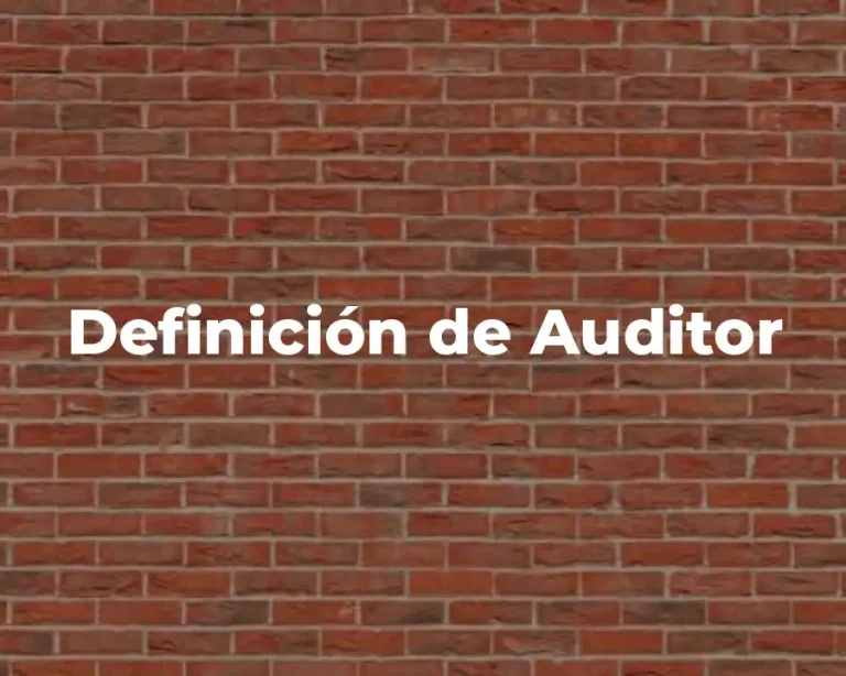 Definición de Auditor