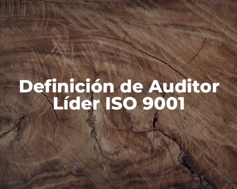 Definición de Auditor Líder ISO 9001