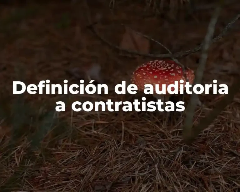 Definición de auditoria a contratistas