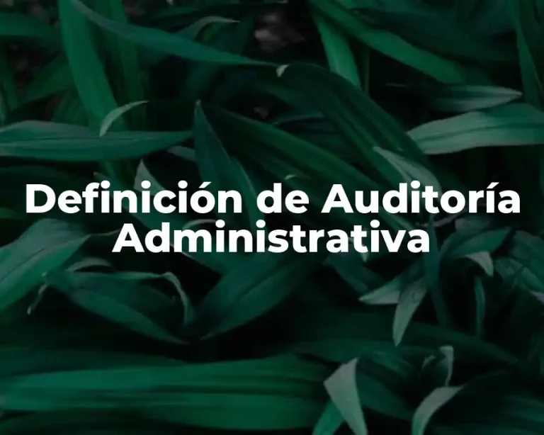 Definición de Auditoría Administrativa