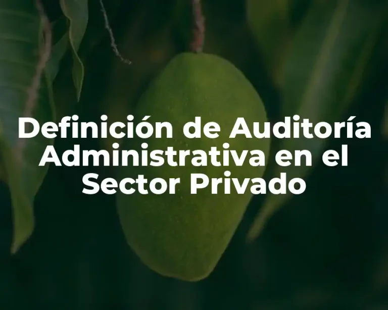 Definición de Auditoría Administrativa en el Sector Privado