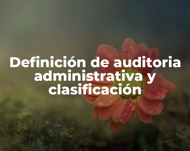 Definición de auditoria administrativa y clasificación