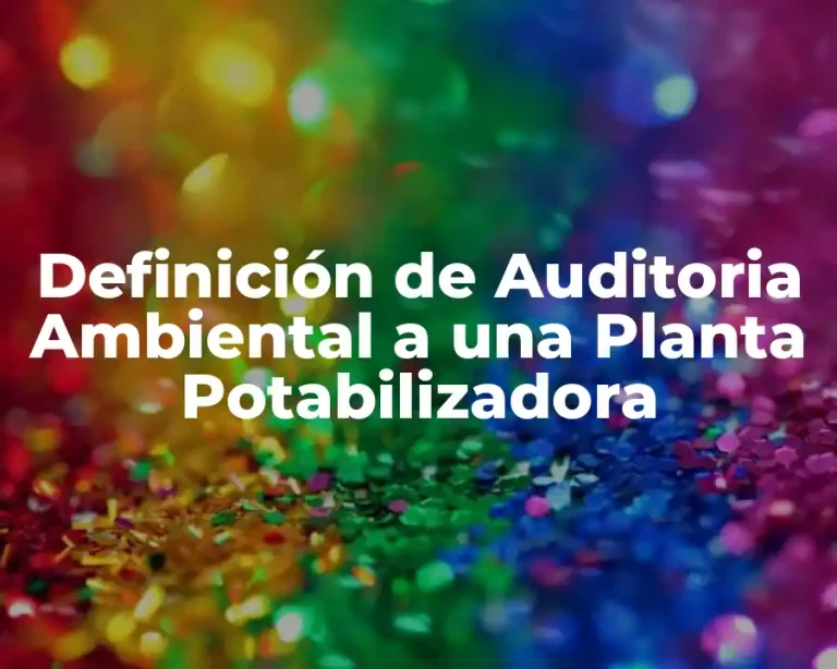 Definición de Auditoria Ambiental a una Planta Potabilizadora