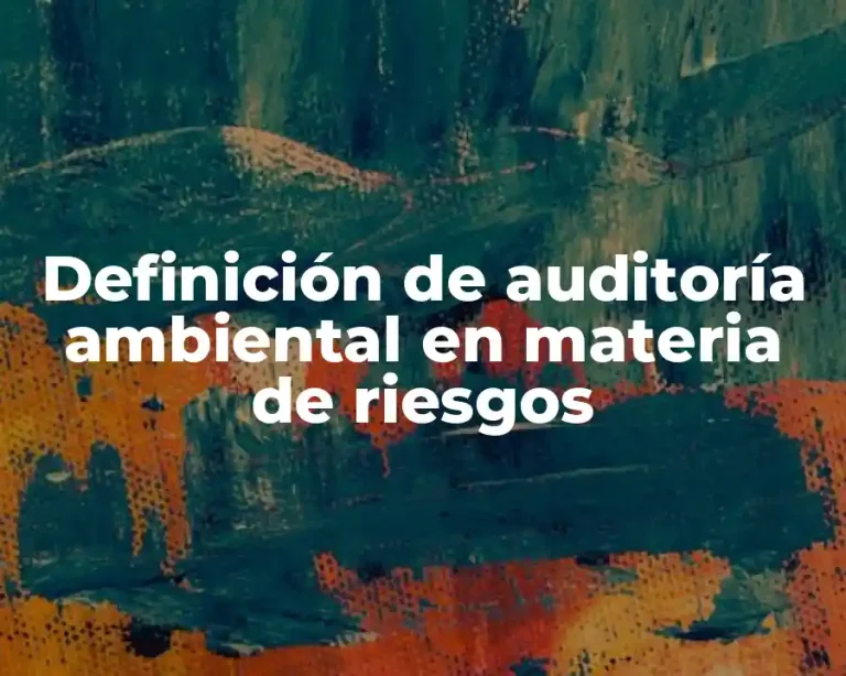 Definición de auditoría ambiental en materia de riesgos