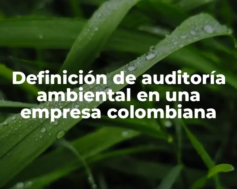 Definición de auditoría ambiental en una empresa colombiana