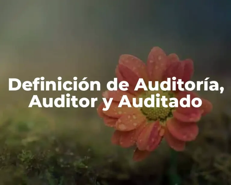 Definición de Auditoría, Auditor y Auditado