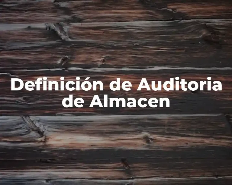 Definición de Auditoria de Almacen