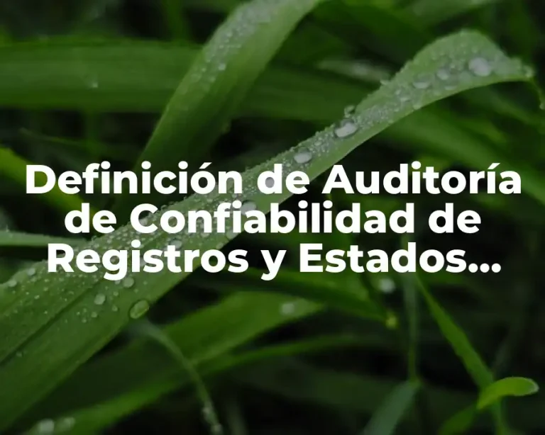 Definición de Auditoría de Confiabilidad de Registros y Estados Financieros