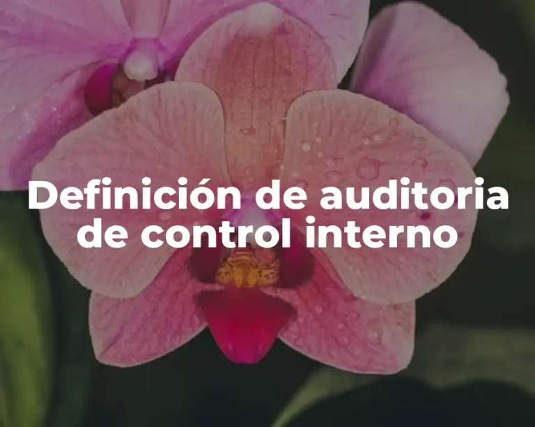 Definición de auditoria de control interno