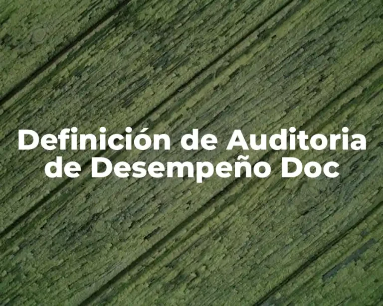 Definición de Auditoria de Desempeño Doc