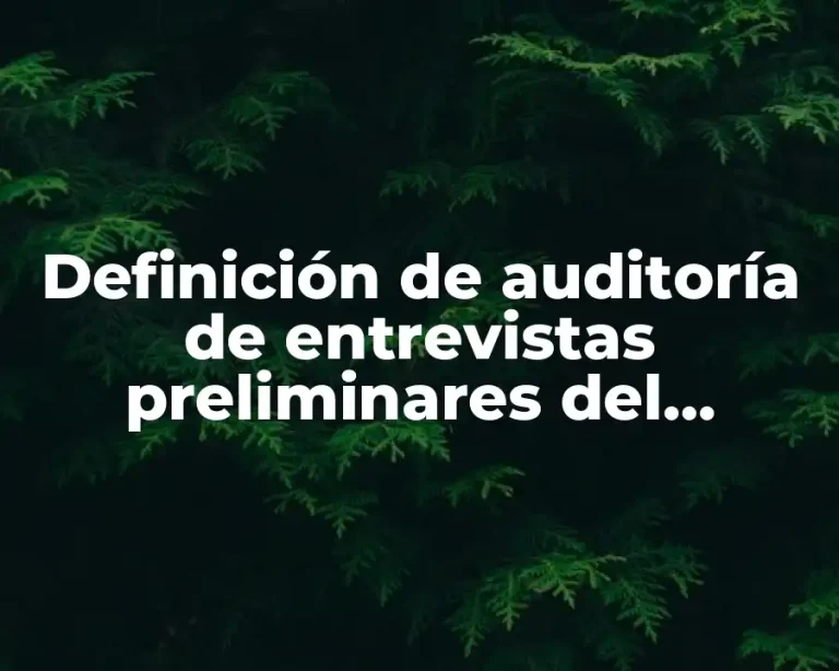 Definición de auditoría de entrevistas preliminares del balance general