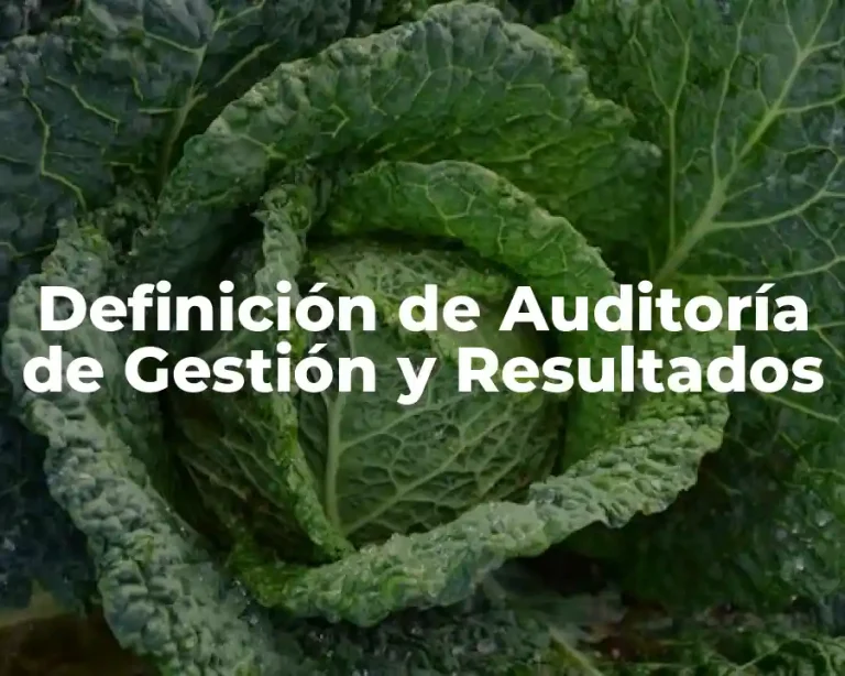 Definición de Auditoría de Gestión y Resultados