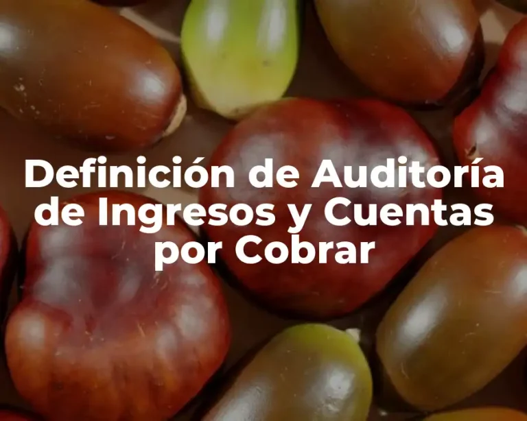 Definición de Auditoría de Ingresos y Cuentas por Cobrar