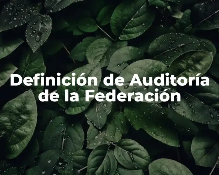 Definición de Auditoría de la Federación