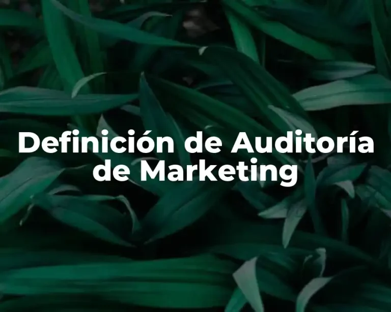 Definición de Auditoría de Marketing