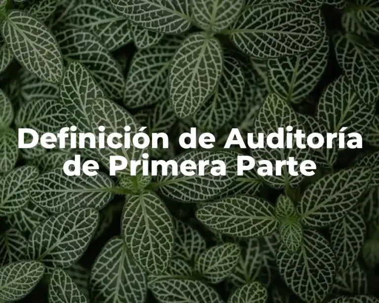 Definición de Auditoría de Primera Parte