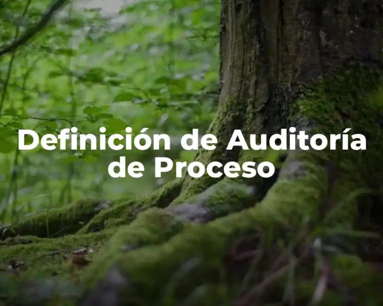 Definición de Auditoría de Proceso