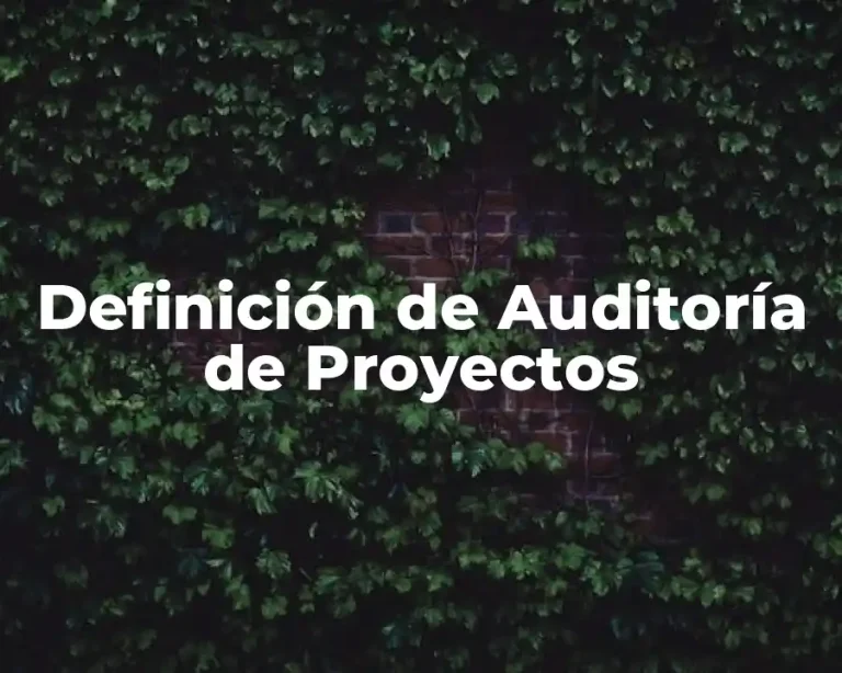 Definición de Auditoría de Proyectos