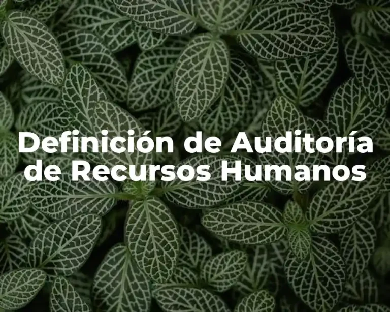 Definición de Auditoría de Recursos Humanos