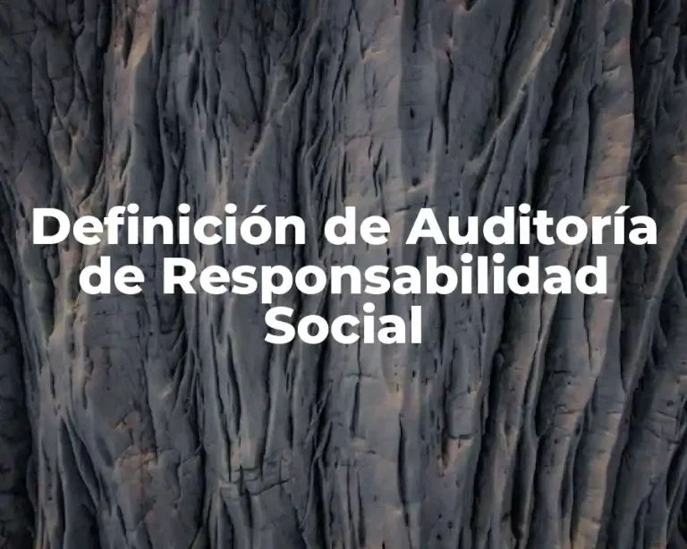 Definición de Auditoría de Responsabilidad Social