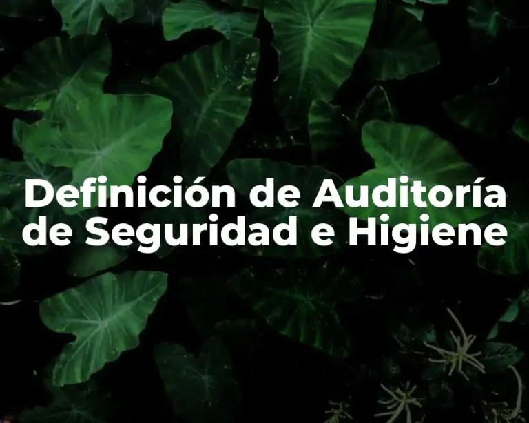 Definición de Auditoría de Seguridad e Higiene