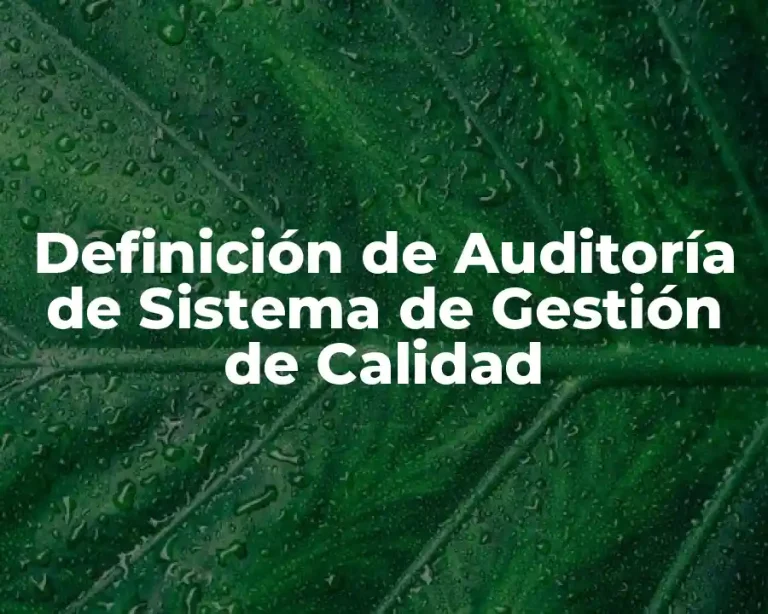 Definición de Auditoría de Sistema de Gestión de Calidad