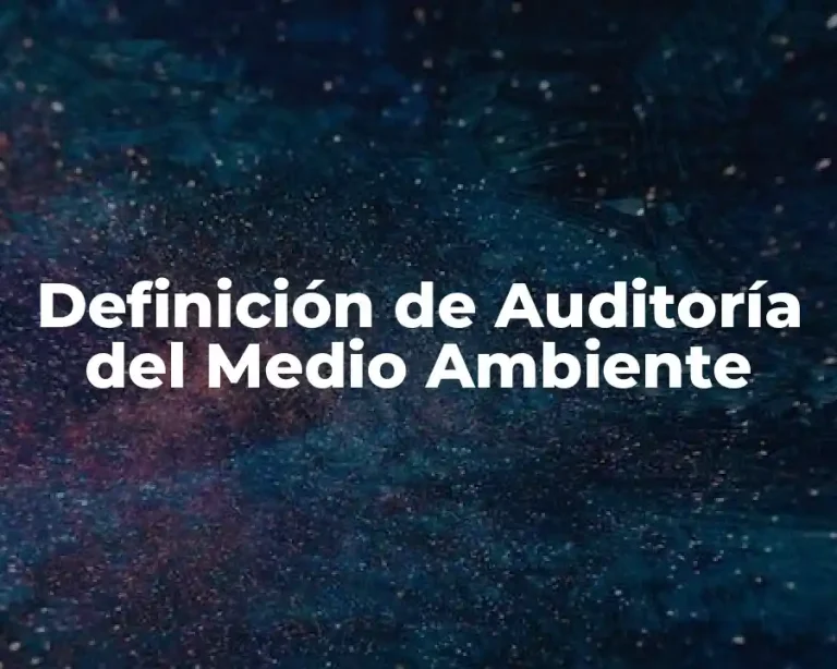 Definición de Auditoría del Medio Ambiente