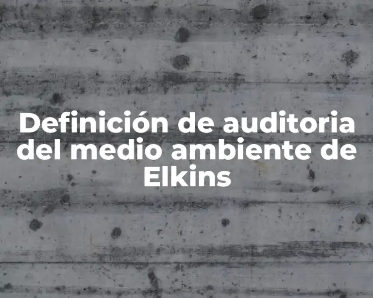 Definición de auditoria del medio ambiente de Elkins