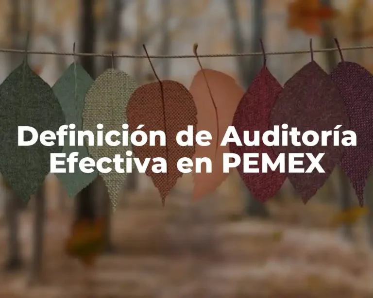 Definición de Auditoría Efectiva en PEMEX