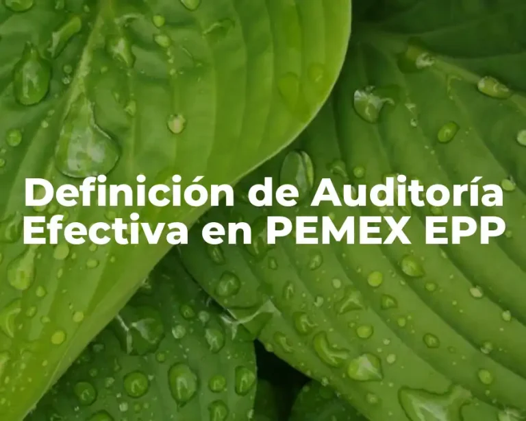 Definición de Auditoría Efectiva en PEMEX EPP