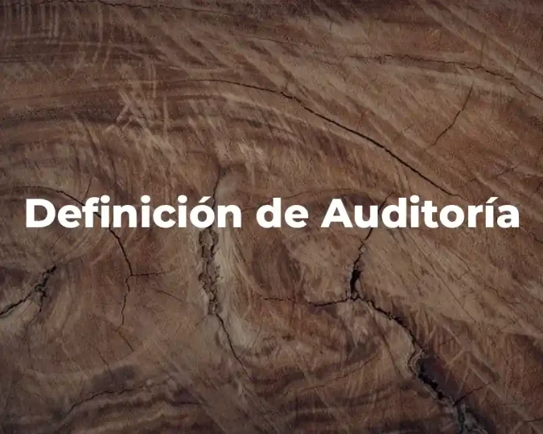 Definición de Auditoría