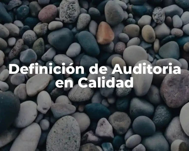 Definición de Auditoria en Calidad