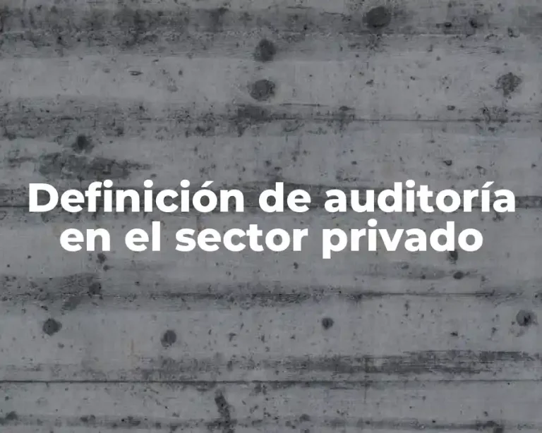 Definición de auditoría en el sector privado