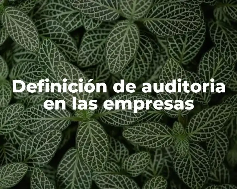 Definición de auditoria en las empresas