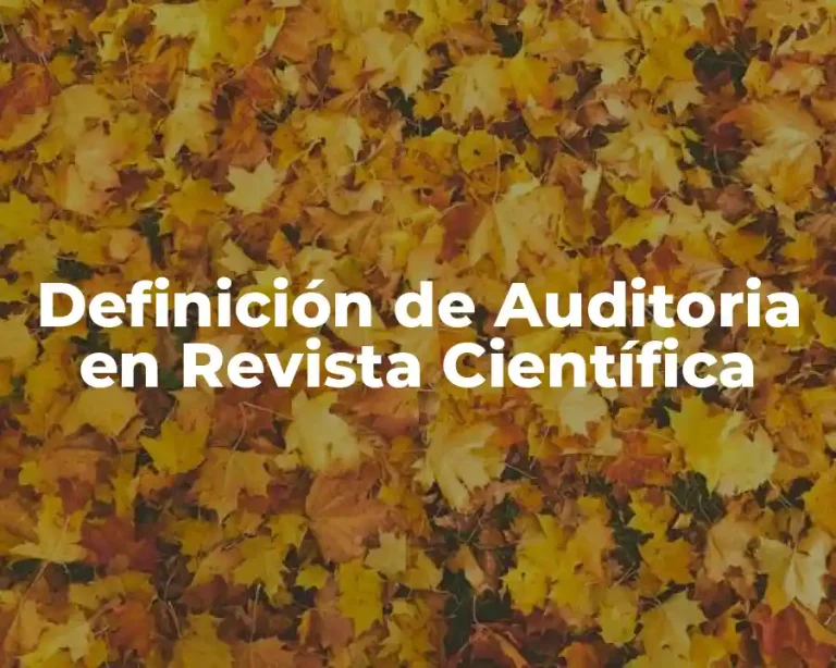 Definición de Auditoria en Revista Científica