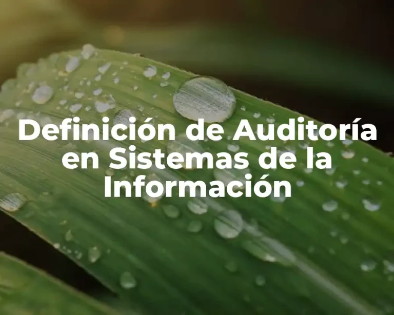 Definición de Auditoría en Sistemas de la Información
