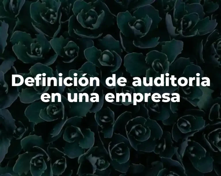 Definición de auditoria en una empresa