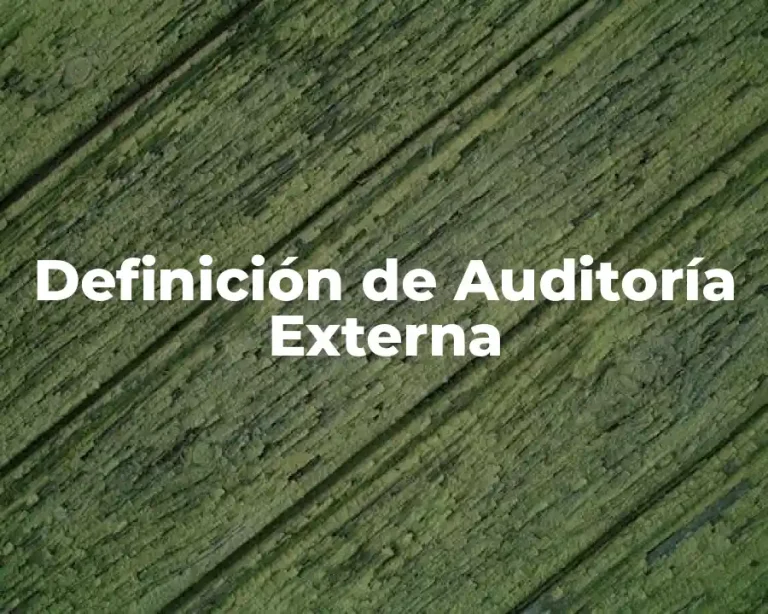 Definición de Auditoría Externa