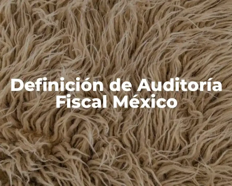 Definición de Auditoría Fiscal México