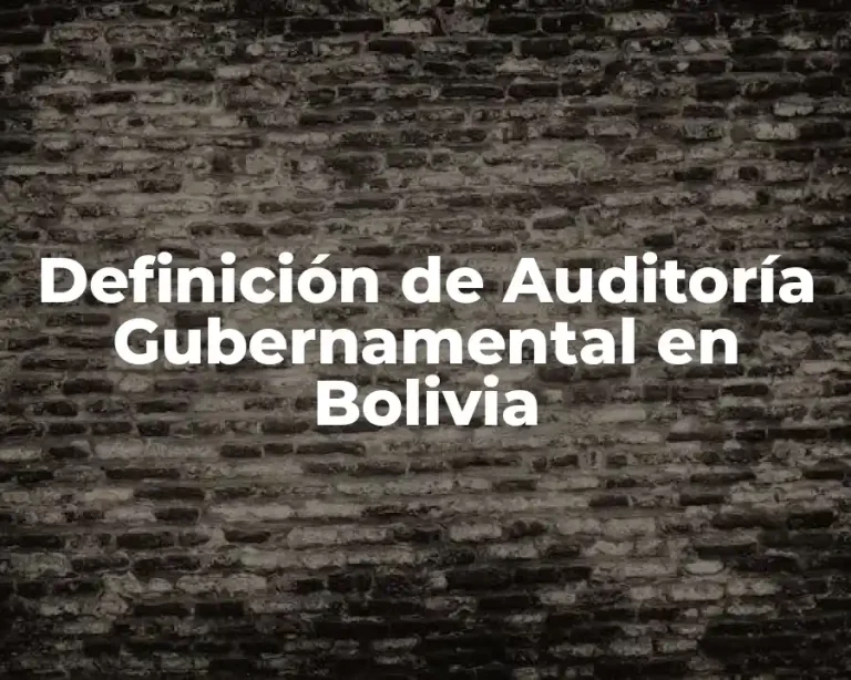 Definición de Auditoría Gubernamental en Bolivia