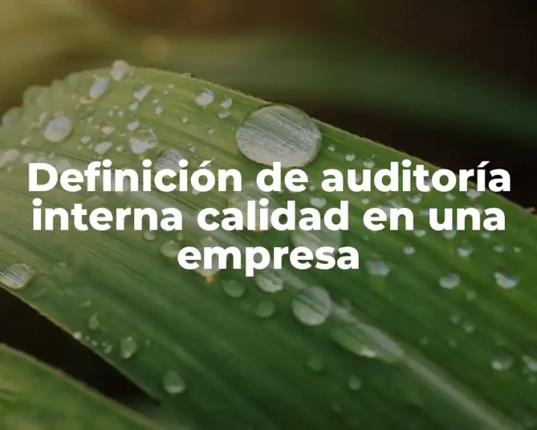 Definición de auditoría interna calidad en una empresa