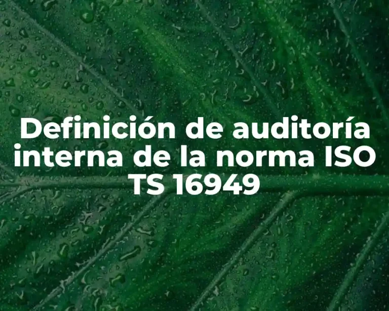 Definición de auditoría interna de la norma ISO TS 16949