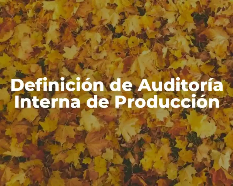 Definición de Auditoría Interna de Producción