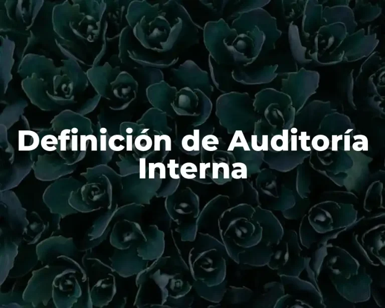Definición de Auditoría Interna