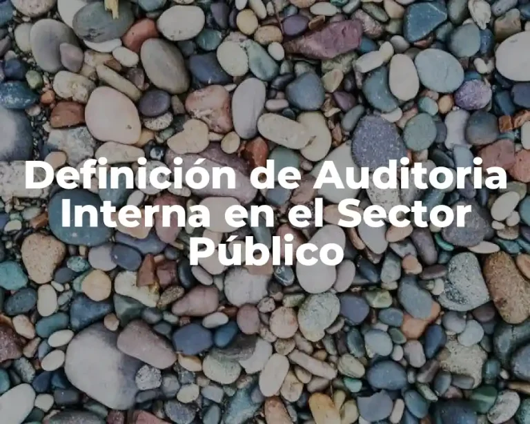 Definición de Auditoria Interna en el Sector Público