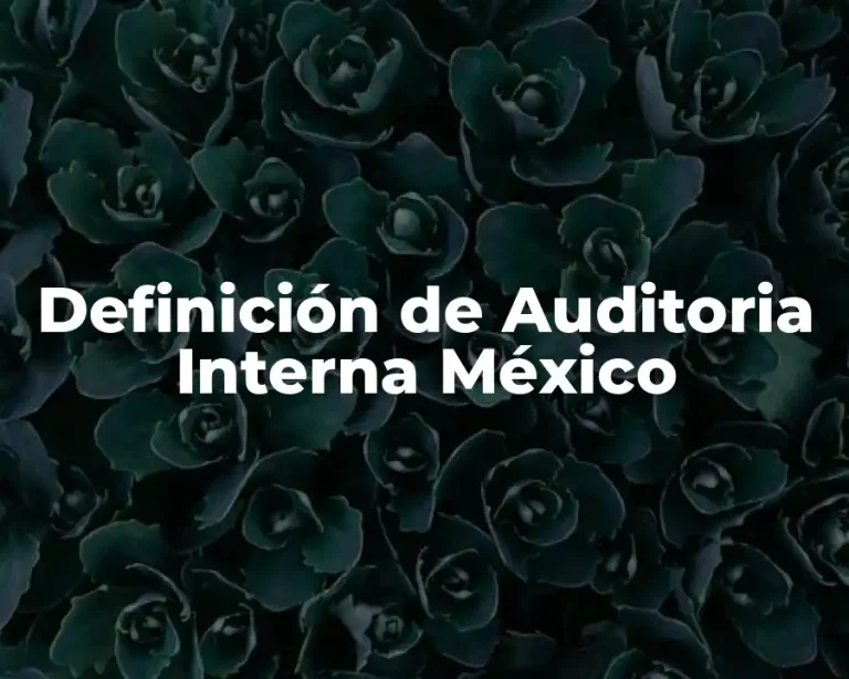 Definición de Auditoria Interna México