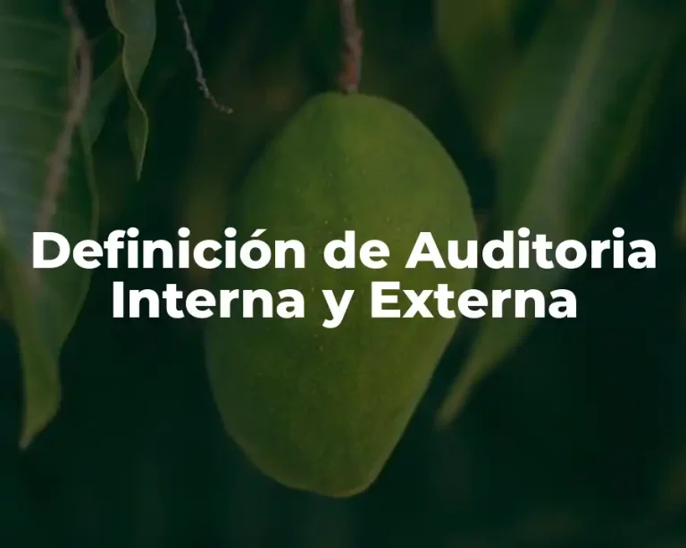 Definición de Auditoria Interna y Externa