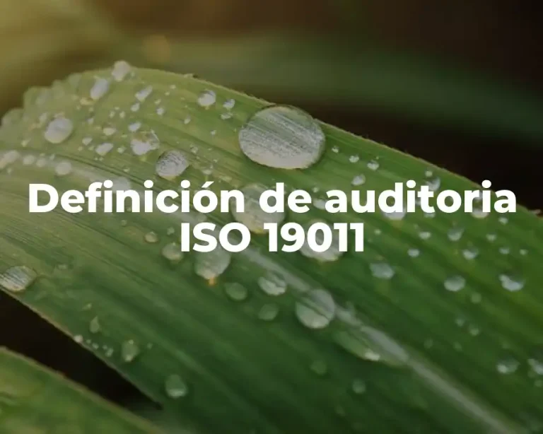 Definición de auditoria ISO 19011