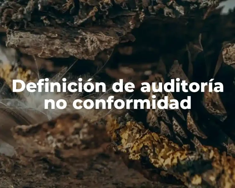 Definición de auditoría no conformidad
