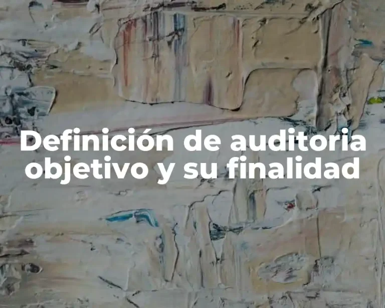 Definición de auditoria objetivo y su finalidad